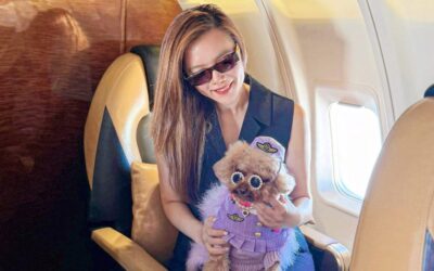 I spent $38,000 to take my toy poodle on a private jet to Japan. I want to plan a trip for my other dogs next.