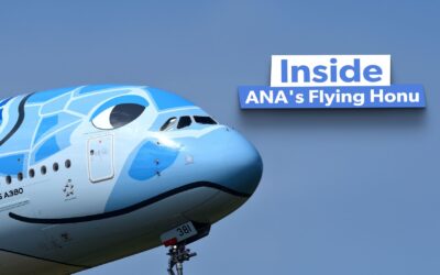 What’s Inside The ANA Flying Honu Airbus A380s?