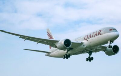 Which commissioner and special assistant flew business class to United Arab Emirates on state dime?