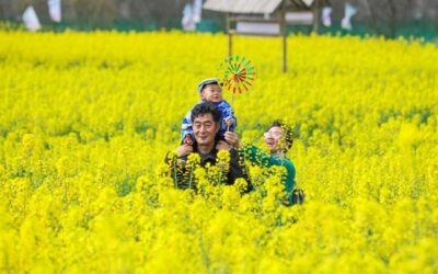 Family-Friendly Resorts Emerge as New Weekend Escape for Chinese Parents