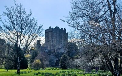 Everything You Need to Know About CIE Tours’ Irish Adventure 