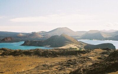 Galapagos Named Top Travel Destination for North Americans in Ultimate Showdown