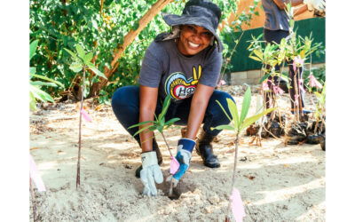 LOVE IN ACTION: SANDALS RESORTS RELEASES CORPORATE SOCIAL RESPONSIBILITY REPORT IN CELEBRATION OF EARTH MONTH