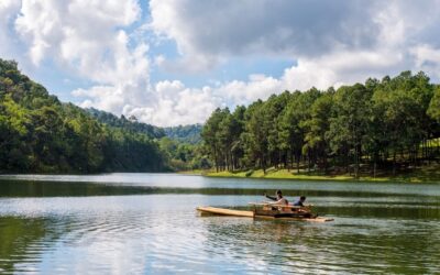 Plan your Kerala getaway: KTDC’s affordable packages for summer 2025