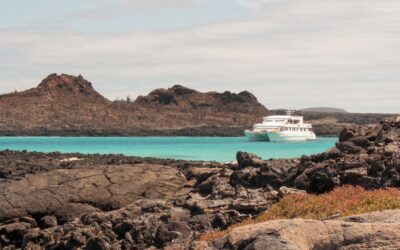 The Best Cruises for Exploring the Galapagos Islands
