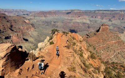 Why REI’s Adventure Tourism Exit Signals Opportunity, Not Decline