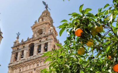 15 unique things to do in Seville: experience the best of the capital of Andalucía