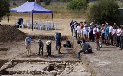 Solving the seashell enigma of the Costa’s Phoenician past: the aim of the archaeological dig near Malaga Airport | Sur in English