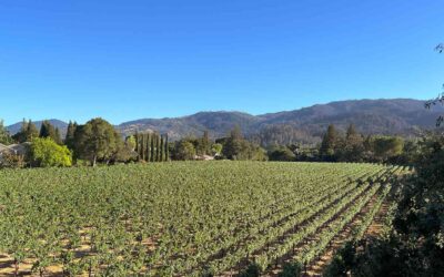 This Semi-private Jet Company Has a New Route to Napa Valley—and Fares Start at $189